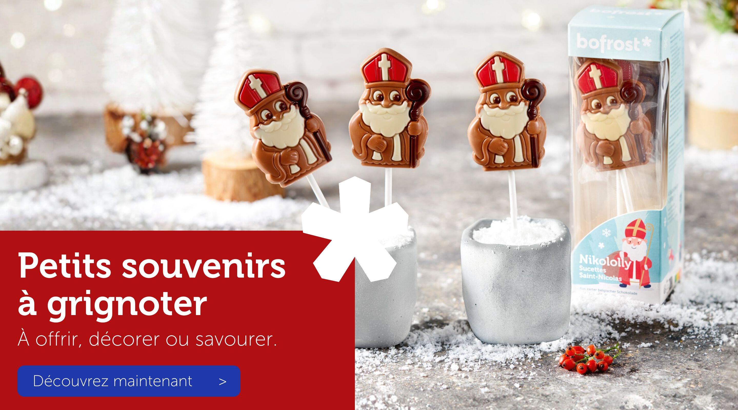 Découvrez maintenant